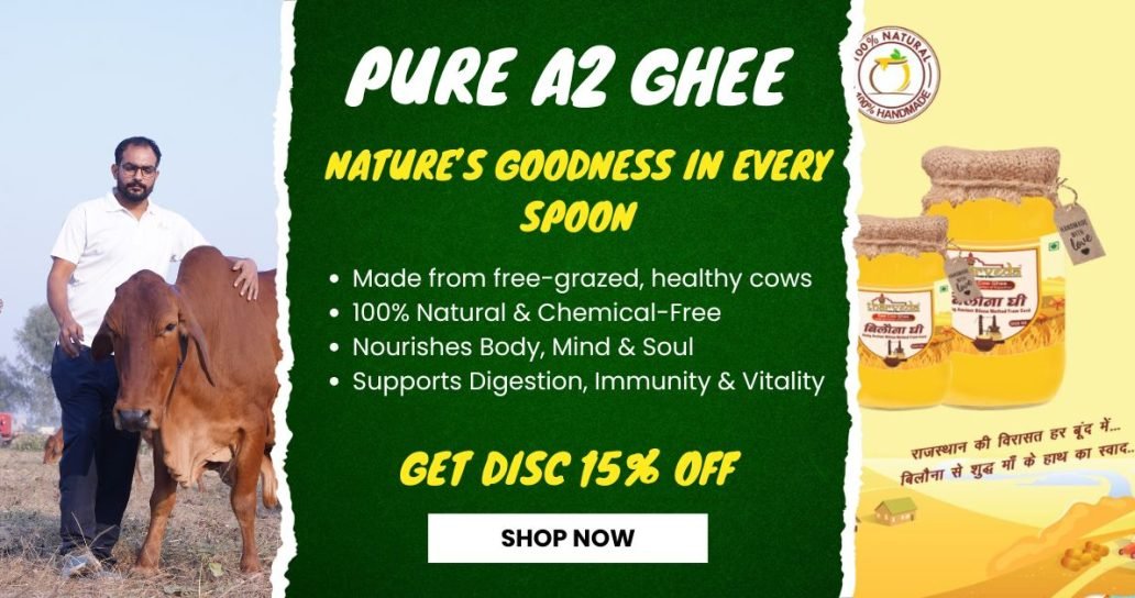 Green and Yellow Modern Grocery Home Delivery Facebook Ad
