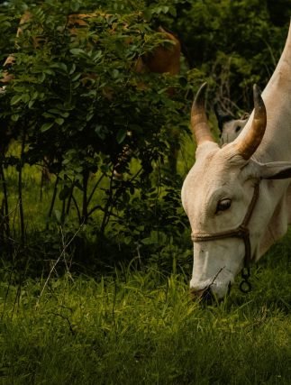 pexels-usbofphotography-13114795